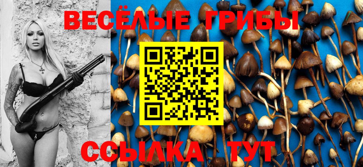 Галлюциногенные грибы GOLDEN TEACHER  Вход с VPN  Отрадное  Галлюциногенные грибы MAGIC MUSHROOMS 