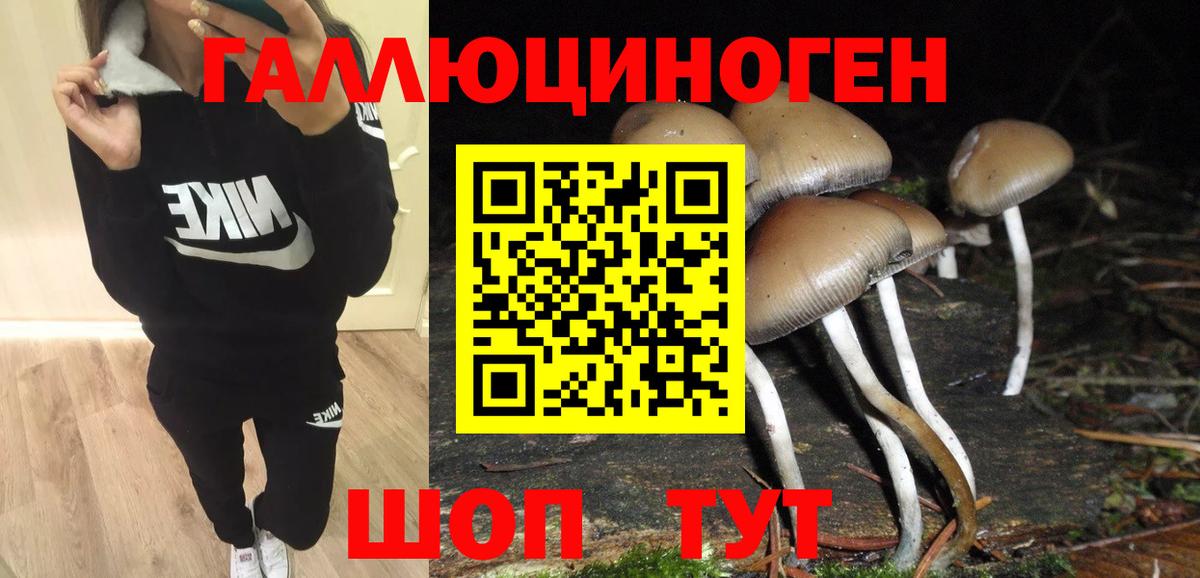 Галлюциногенные грибы ЛСД Отрадное