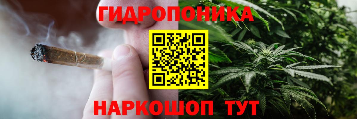 Бошки марихуана Bruce Banner Отрадное